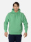 REED HOODIE MEN zelena