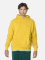 REED HOODIE MEN rumena