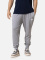 ORLANDO PANTS MEN siva