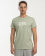 BASIC T-SHIRT MEN zelena